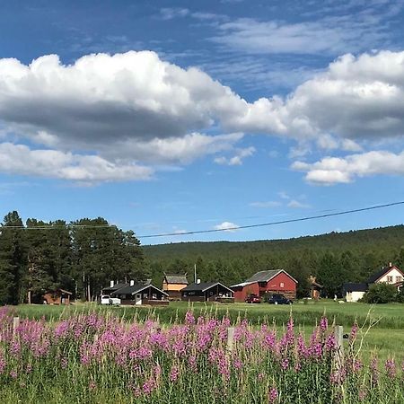 Roste Hyttetun Og Camping Os (Hedmark) Exteriör bild