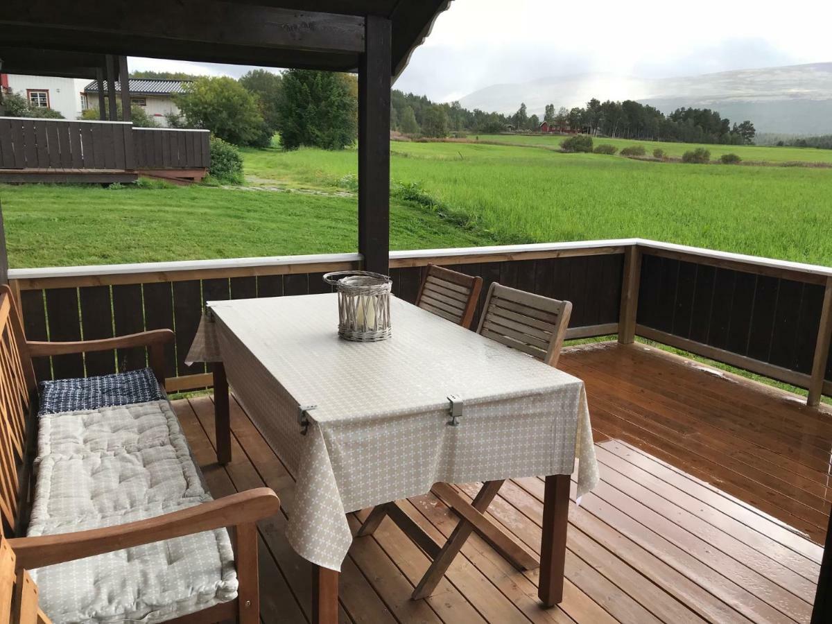 Roste Hyttetun Og Camping Os (Hedmark) Exteriör bild